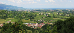 panorama